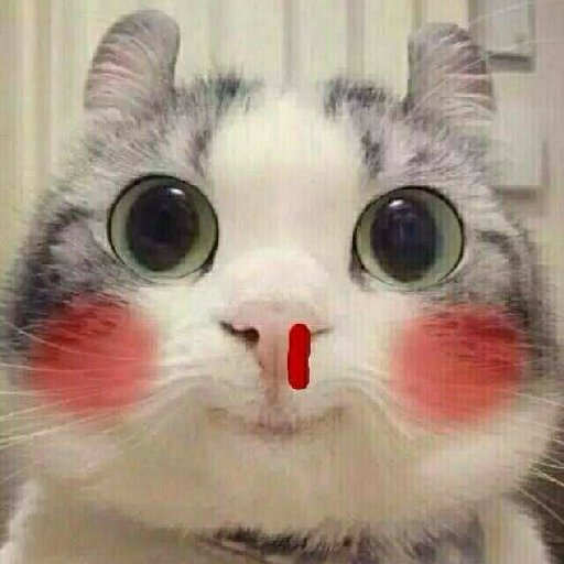 神瑹