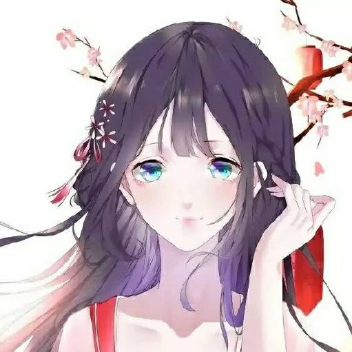 笨笨的小野貓