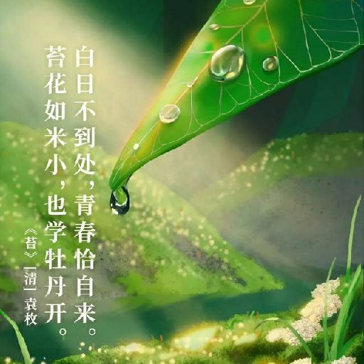 惠太平