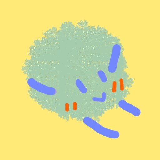 杉糖