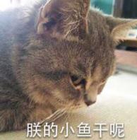 陛下的小魚干