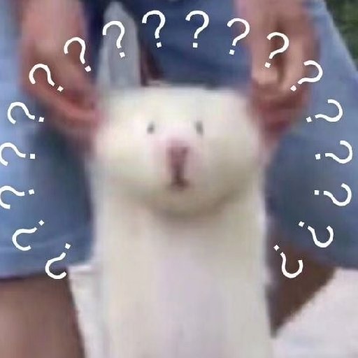 小同志獨苗