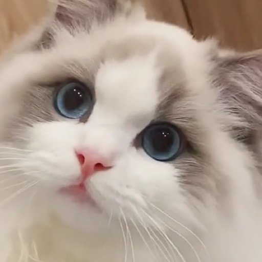 忘記回憶過去