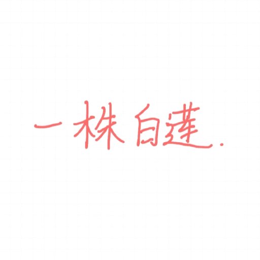 一株白蓮