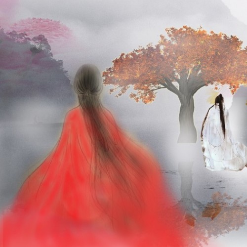 美丁姑娘