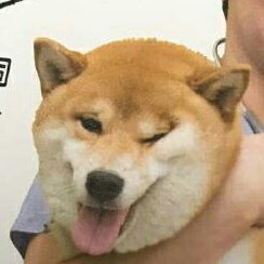 卿行