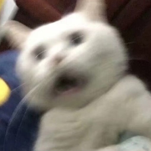 是染染吖