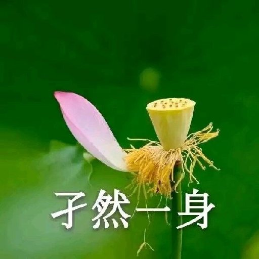 攸攸靈