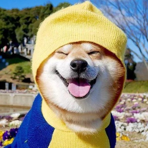 鹿燊