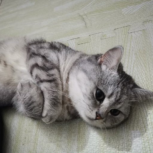 林葵