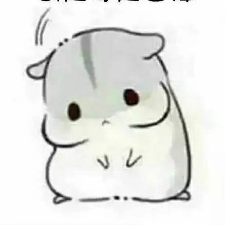 洛九弦