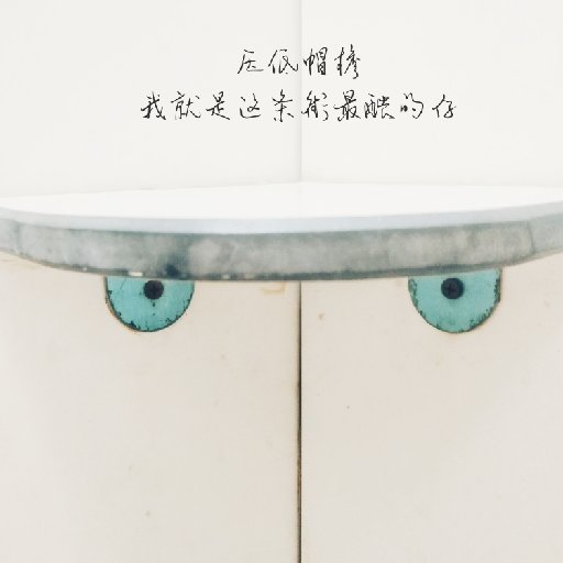 貍貓6
