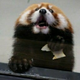 澆火