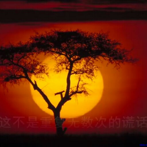 筆墨涼涼