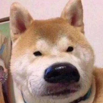 秘影騎士