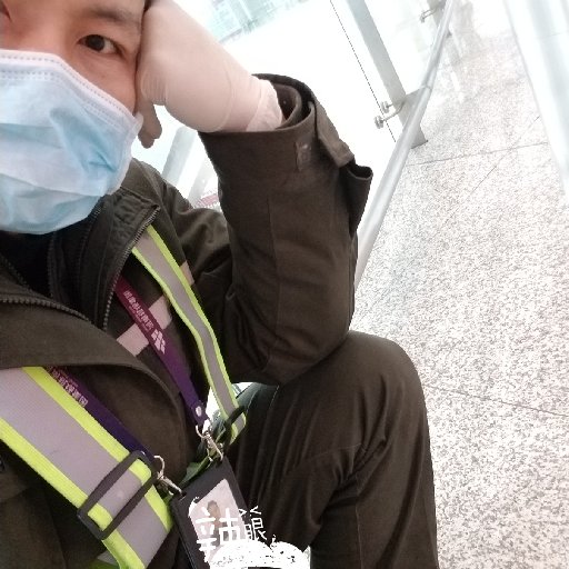 老豆根