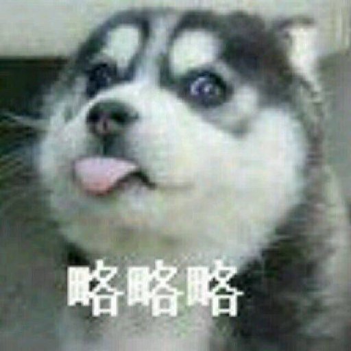 陸秋