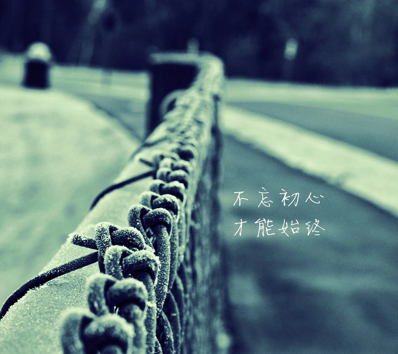 九鼎大少