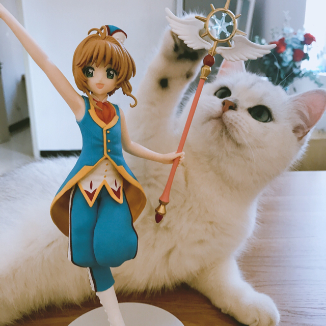 Mr東鍋