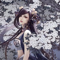 諾羽飛鴻
