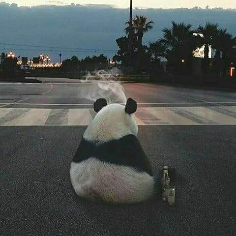布帕開水燙