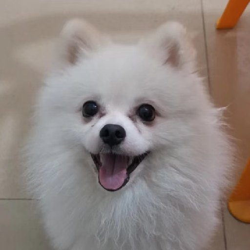 弱水三遷