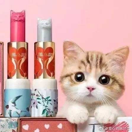 二寶天使