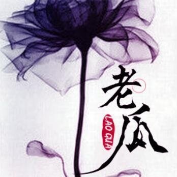 擅長的瓜