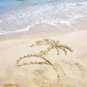 流浪狗的悲哀