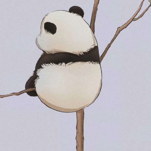 書亦可