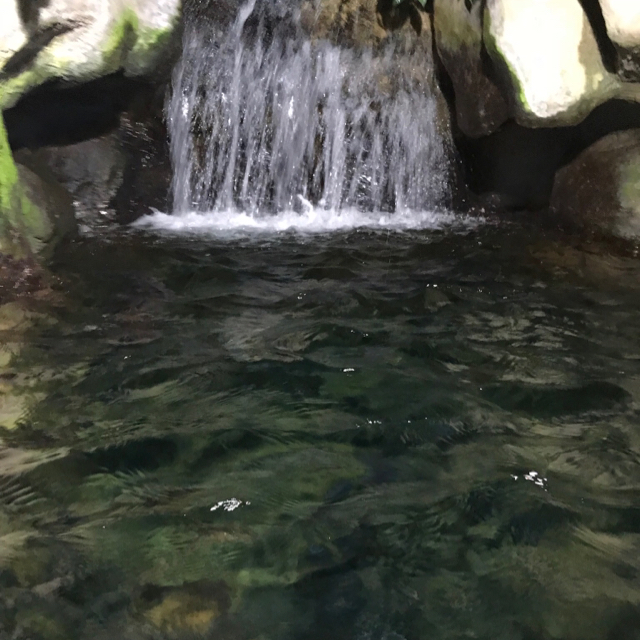 清幽竹林