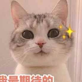 銅鑼燒麥