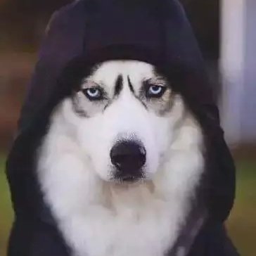 漁獵