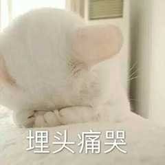 霸道第一仙