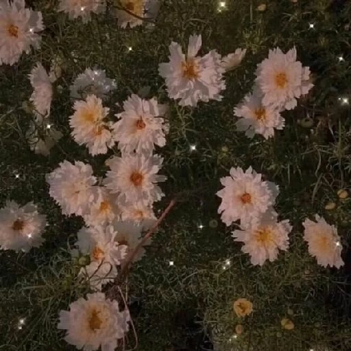 慕酥頤
