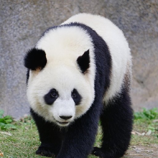墨小雷