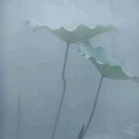 長風緒