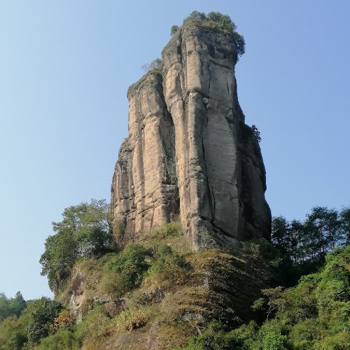滄海有龍
