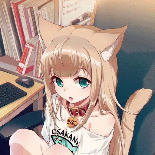 兔耳花