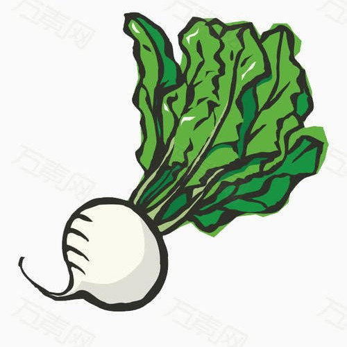 西洋參泡水