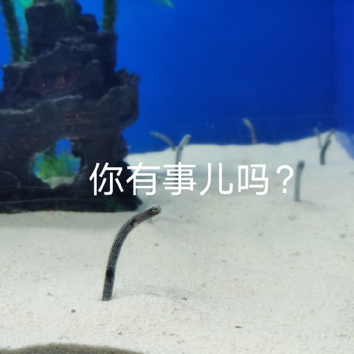 枉松