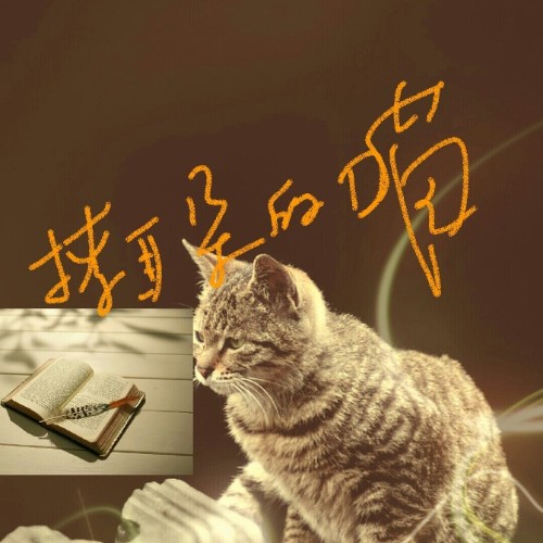 撩耳朵的貓