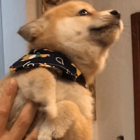世則寧