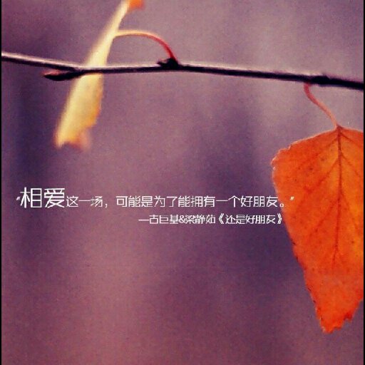 葉盡秋寒