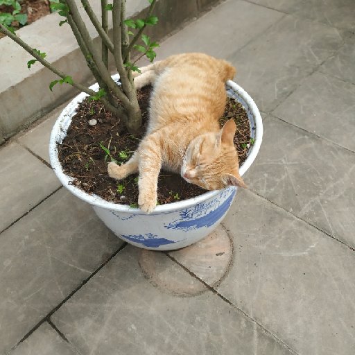 山向水口