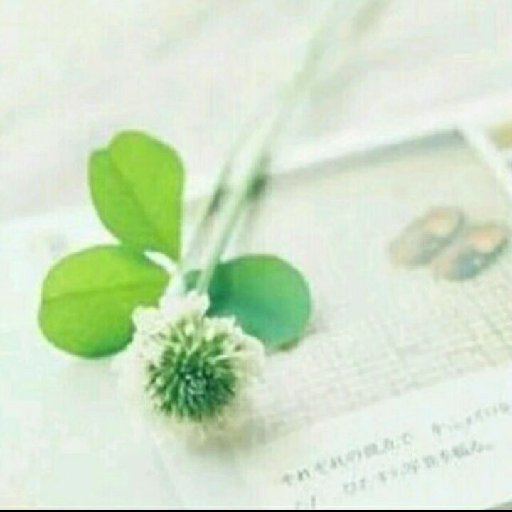 晝離憑秋