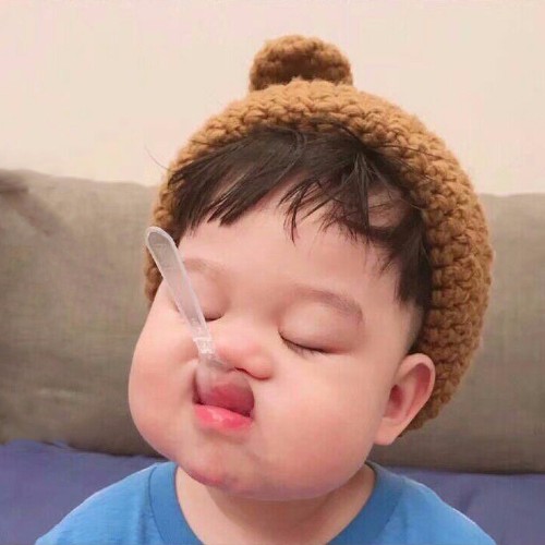 枝上槑