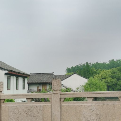 綠蘿很綠