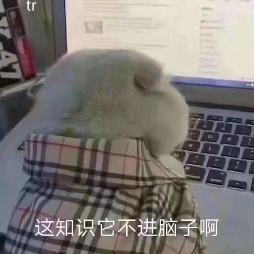 一頭鯊魚