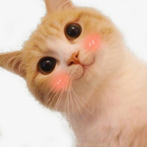 杜癲